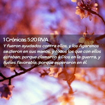 Picture 02 - 1 Crónicas 5:20 RVA - Y fueron ayudados contra ellos, y los Agarenos se - Bible Verse Picture