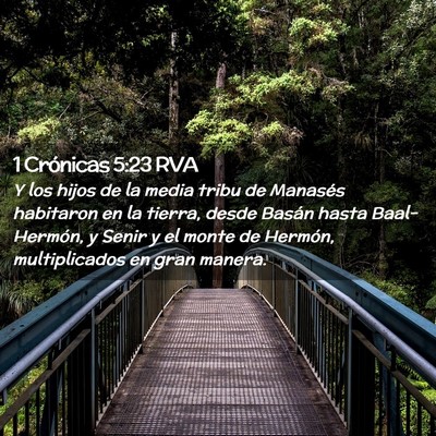 Picture 02 - 1 Crónicas 5:23 RVA - Y los hijos de la media tribu de Manasés - Bible Verse Picture