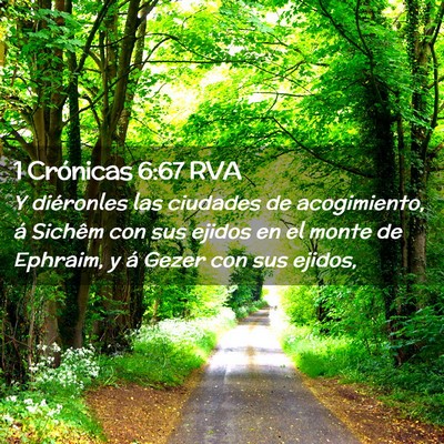 Picture 02 - 1 Crónicas 6:67 RVA - Y diéronles las ciudades de acogimiento, á - Bible Verse Picture