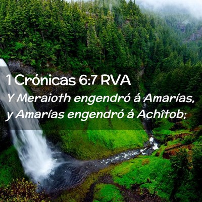 Picture 02 - 1 Crónicas 6:7 RVA - Y Meraioth engendró á Amarías, y Amarías - Bible Verse Picture