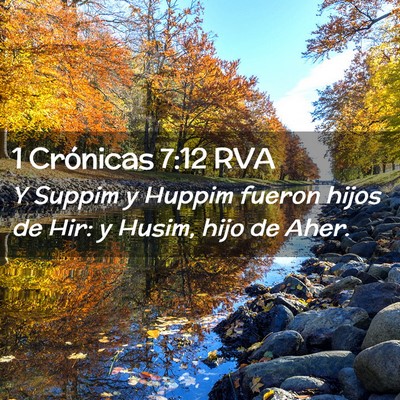 Picture 02 - 1 Crónicas 7:12 RVA - Y Suppim y Huppim fueron hijos de Hir: y Husim, - Bible Verse Picture