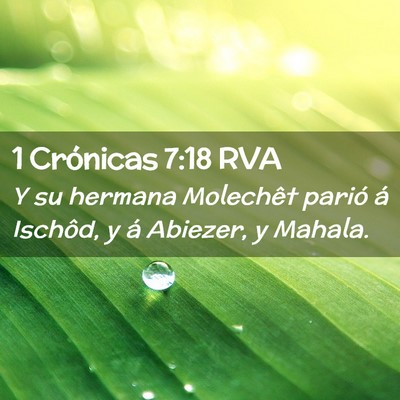 Picture 02 - 1 Crónicas 7:18 RVA - Y su hermana Molechêt parió á Ischôd, y á - Bible Verse Picture