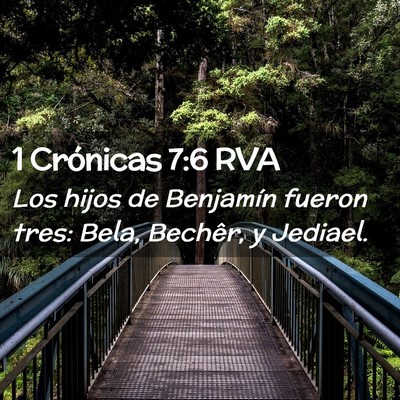 Picture 02 - 1 Crónicas 7:6 RVA - Los hijos de Benjamín fueron tres: Bela, - Bible Verse Picture