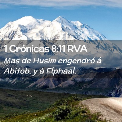 Picture 02 - 1 Crónicas 8:11 RVA - Mas de Husim engendró á Abitob, y á - Bible Verse Picture