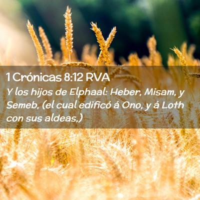 Picture 02 - 1 Crónicas 8:12 RVA - Y los hijos de Elphaal: Heber, Misam, y Semeb, - Bible Verse Picture