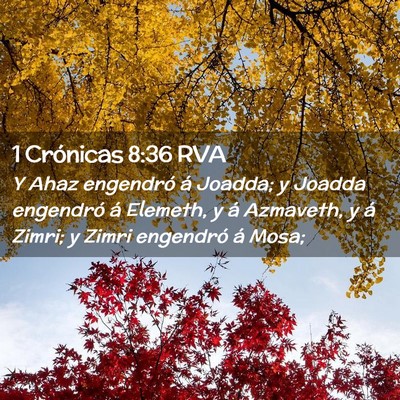 Picture 02 - 1 Crónicas 8:36 RVA - Y Ahaz engendró á Joadda; y Joadda engendró á - Bible Verse Picture