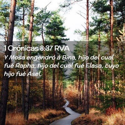 Picture 02 - 1 Crónicas 8:37 RVA - Y Mosa engendró á Bina, hijo del cual fué - Bible Verse Picture