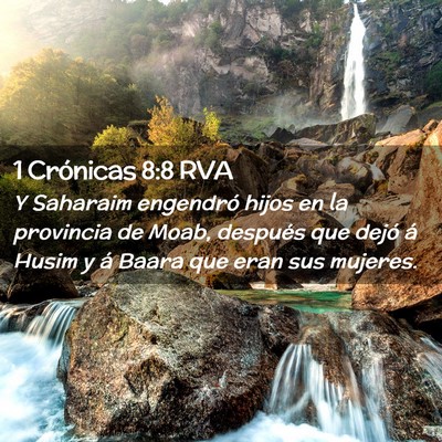 Picture 02 - 1 Crónicas 8:8 RVA - Y Saharaim engendró hijos en la provincia de - Bible Verse Picture