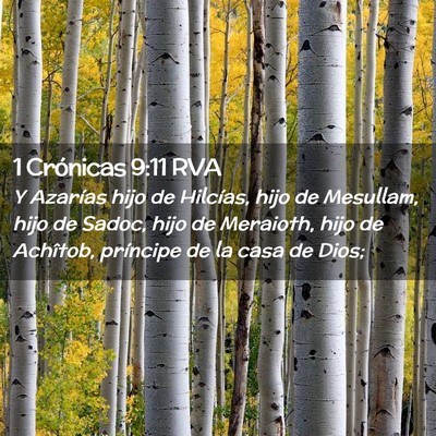 Picture 02 - 1 Crónicas 9:11 RVA - Y Azarías hijo de Hilcías, hijo de Mesullam, - Bible Verse Picture