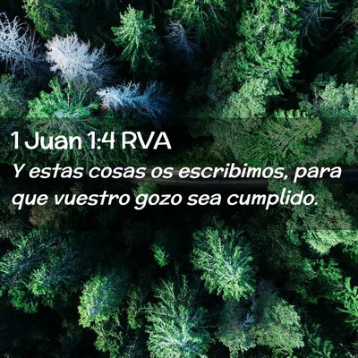 Picture 02 - 1 Juan 1:4 RVA - Y estas cosas os escribimos, para que vuestro - Bible Verse Picture