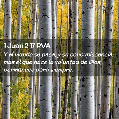 Picture 02 - 1 Juan 2:17 RVA - Y el mundo se pasa, y su concupiscencia; mas el - Bible Verse Picture