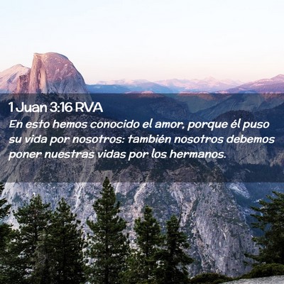 Picture 02 - 1 Juan 3:16 RVA - En esto hemos conocido el amor, porque él puso - Bible Verse Picture