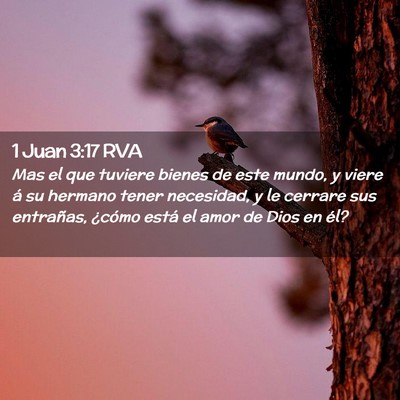 Picture 02 - 1 Juan 3:17 RVA - Mas el que tuviere bienes de este mundo, y viere - Bible Verse Picture