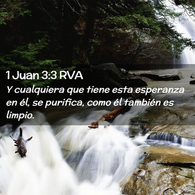 Picture 02 - 1 Juan 3:3 RVA - Y cualquiera que tiene esta esperanza en él, se - Bible Verse Picture