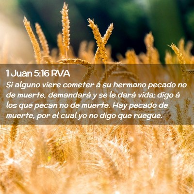 Picture 02 - 1 Juan 5:16 RVA - Si alguno viere cometer á su hermano pecado no - Bible Verse Picture
