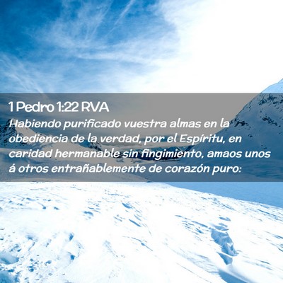 Picture 02 - 1 Pedro 1:22 RVA - Habiendo purificado vuestra almas en la - Bible Verse Picture