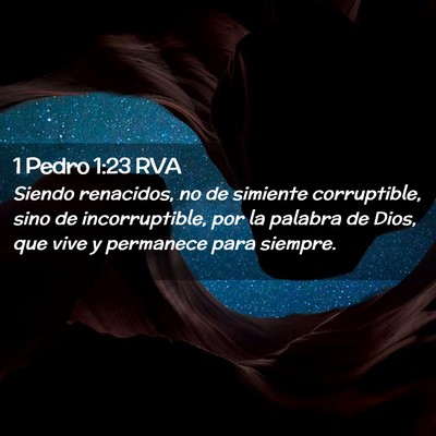Picture 02 - 1 Pedro 1:23 RVA - Siendo renacidos, no de simiente corruptible, - Bible Verse Picture