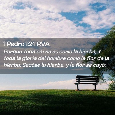 Picture 02 - 1 Pedro 1:24 RVA - Porque Toda carne es como la hierba, Y toda la - Bible Verse Picture