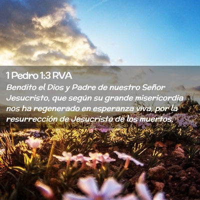 Picture 02 - 1 Pedro 1:3 RVA - Bendito el Dios y Padre de nuestro Señor - Bible Verse Picture