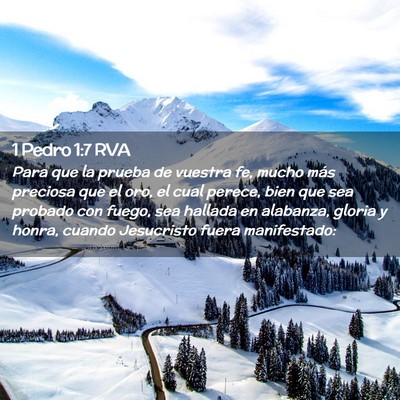 Picture 02 - 1 Pedro 1:7 RVA - Para que la prueba de vuestra fe, mucho más - Bible Verse Picture