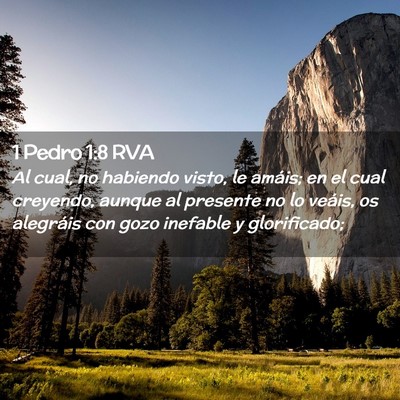 Picture 02 - 1 Pedro 1:8 RVA - Al cual, no habiendo visto, le amáis; en el cual - Bible Verse Picture