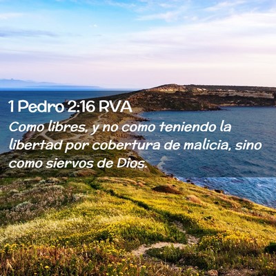 Picture 02 - 1 Pedro 2:16 RVA - Como libres, y no como teniendo la libertad por - Bible Verse Picture