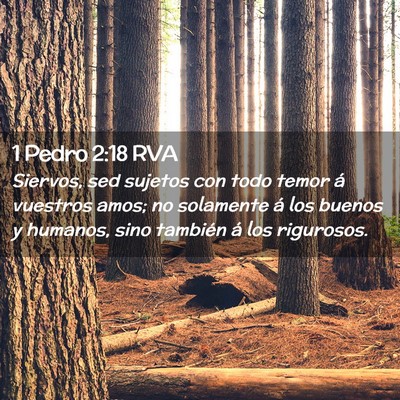 Picture 02 - 1 Pedro 2:18 RVA - Siervos, sed sujetos con todo temor á vuestros - Bible Verse Picture