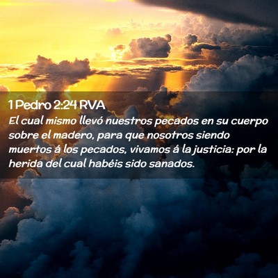 Picture 02 - 1 Pedro 2:24 RVA - El cual mismo llevó nuestros pecados en su - Bible Verse Picture