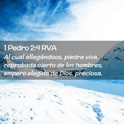 Picture 02 - 1 Pedro 2:4 RVA - Al cual allegándoos, piedra viva, reprobada - Bible Verse Picture