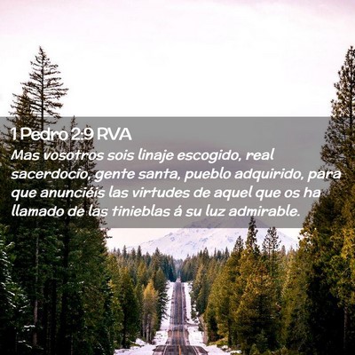 Picture 02 - 1 Pedro 2:9 RVA - Mas vosotros sois linaje escogido, real - Bible Verse Picture