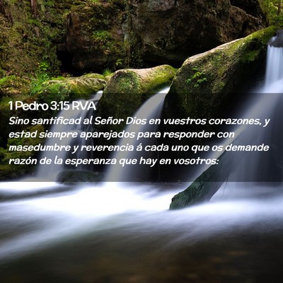 Picture 02 - 1 Pedro 3:15 RVA - Sino santificad al Señor Dios en vuestros - Bible Verse Picture