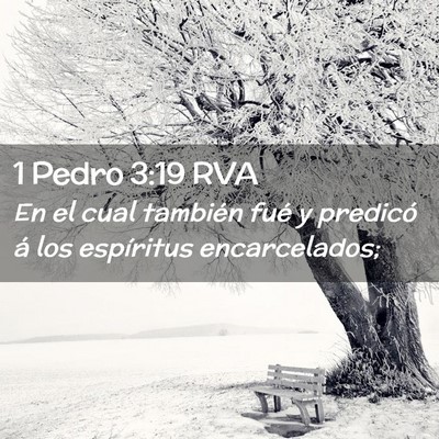 Picture 02 - 1 Pedro 3:19 RVA - En el cual también fué y predicó á los - Bible Verse Picture
