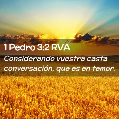 Picture 02 - 1 Pedro 3:2 RVA - Considerando vuestra casta conversación, que es - Bible Verse Picture