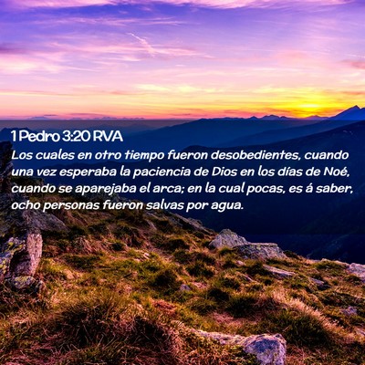 Picture 02 - 1 Pedro 3:20 RVA - Los cuales en otro tiempo fueron desobedientes, - Bible Verse Picture