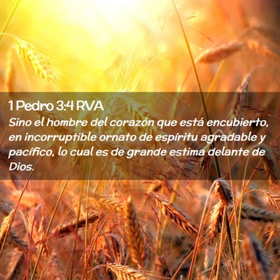Picture 02 - 1 Pedro 3:4 RVA - Sino el hombre del corazón que está encubierto, - Bible Verse Picture