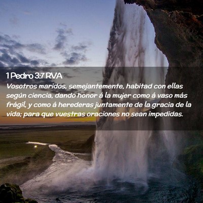 Picture 02 - 1 Pedro 3:7 RVA - Vosotros maridos, semejantemente, habitad con - Bible Verse Picture