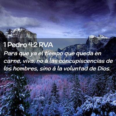 Picture 02 - 1 Pedro 4:2 RVA - Para que ya el tiempo que queda en carne, viva, - Bible Verse Picture