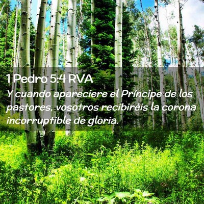 Picture 02 - 1 Pedro 5:4 RVA - Y cuando apareciere el Príncipe de los pastores, - Bible Verse Picture