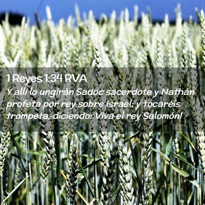 Picture 02 - 1 Reyes 1:34 RVA - Y allí lo ungirán Sadoc sacerdote y Nathán - Bible Verse Picture
