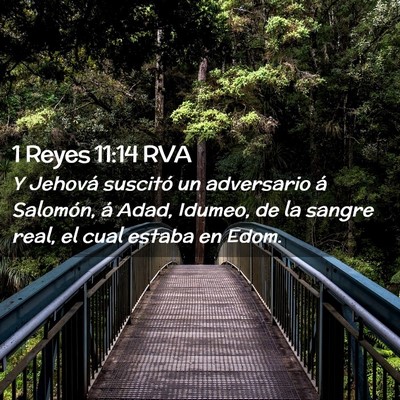 Picture 02 - 1 Reyes 11:14 RVA - Y Jehová suscitó un adversario á Salomón, á - Bible Verse Picture