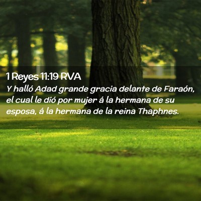 Picture 02 - 1 Reyes 11:19 RVA - Y halló Adad grande gracia delante de Faraón, - Bible Verse Picture