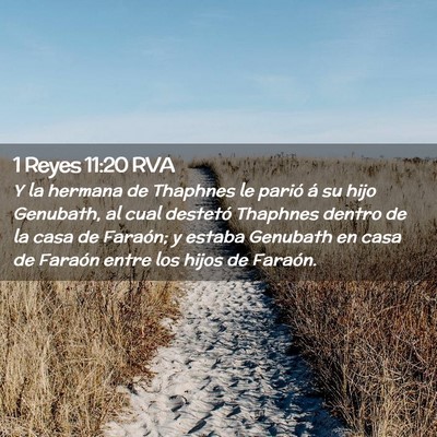 Picture 02 - 1 Reyes 11:20 RVA - Y la hermana de Thaphnes le parió á su hijo - Bible Verse Picture