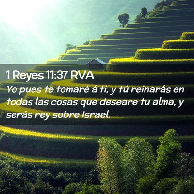Picture 02 - 1 Reyes 11:37 RVA - Yo pues te tomaré á ti, y tú reinarás en - Bible Verse Picture