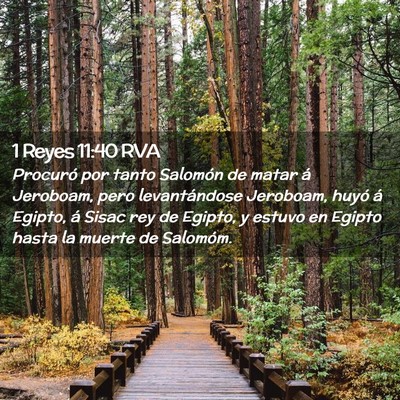 Picture 02 - 1 Reyes 11:40 RVA - Procuró por tanto Salomón de matar á Jeroboam, - Bible Verse Picture