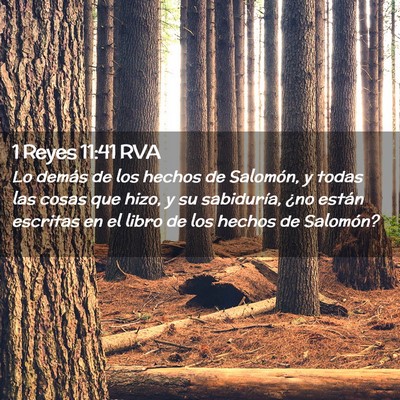 Picture 02 - 1 Reyes 11:41 RVA - Lo demás de los hechos de Salomón, y todas las - Bible Verse Picture