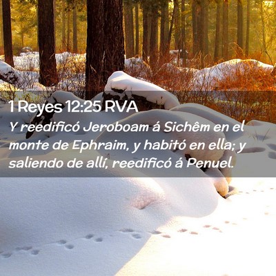 Picture 02 - 1 Reyes 12:25 RVA - Y reedificó Jeroboam á Sichêm en el monte de - Bible Verse Picture