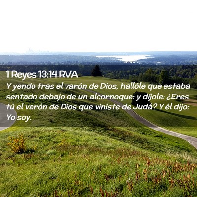 Picture 02 - 1 Reyes 13:14 RVA - Y yendo tras el varón de Dios, hallóle que - Bible Verse Picture