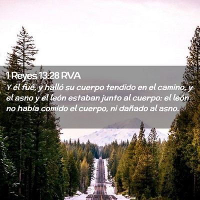 Picture 02 - 1 Reyes 13:28 RVA - Y él fué, y halló su cuerpo tendido en el - Bible Verse Picture