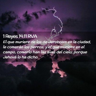 Picture 02 - 1 Reyes 14:11 RVA - El que muriere de los de Jeroboam en la ciudad, - Bible Verse Picture