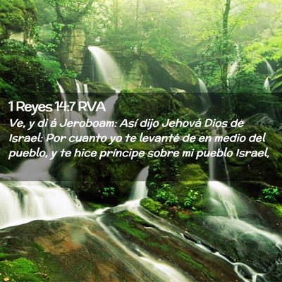 Picture 02 - 1 Reyes 14:7 RVA - Ve, y di á Jeroboam: Así dijo Jehová Dios de - Bible Verse Picture